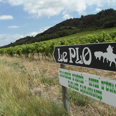 Bergerie Du Plo Βίλα Montlaur  Εξωτερικό φωτογραφία