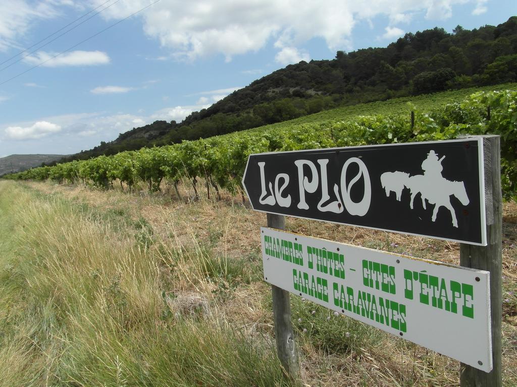 Bergerie Du Plo Βίλα Montlaur  Εξωτερικό φωτογραφία