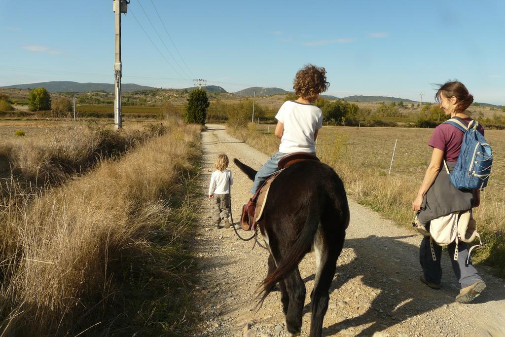 Bergerie Du Plo Βίλα Montlaur  Εξωτερικό φωτογραφία