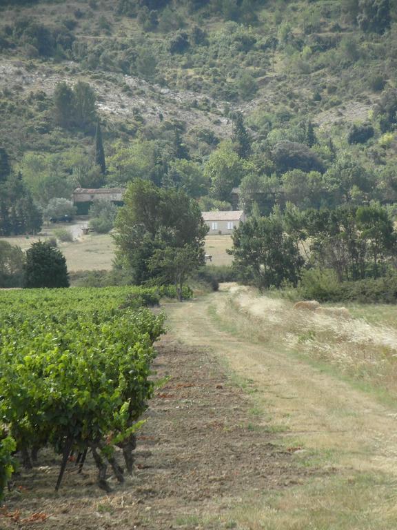 Bergerie Du Plo Βίλα Montlaur  Εξωτερικό φωτογραφία