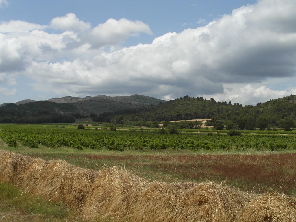 Bergerie Du Plo Βίλα Montlaur  Εξωτερικό φωτογραφία
